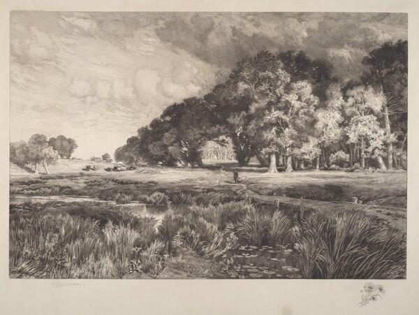 Long Island Landscape