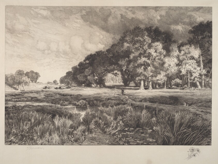 Long Island Landscape
