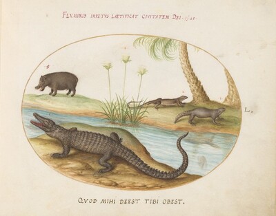 Plate 50: A Crocodile, a Hippopotomus, a Land Crocodile or Tegu Lizard(?), and a Crocodile or Spiny-Tailed Lizard with a Papyrus Plant, Joris Hoefnagel, c.1575/1590s