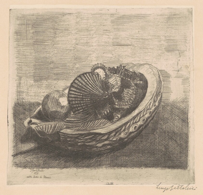 Le conchiglie [The Shells (in Petrucci's Study)]