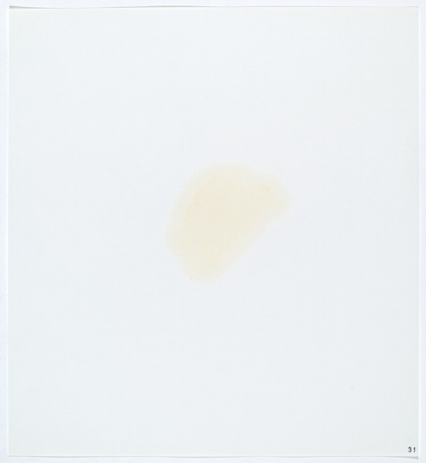 Stains: Bacon Grease