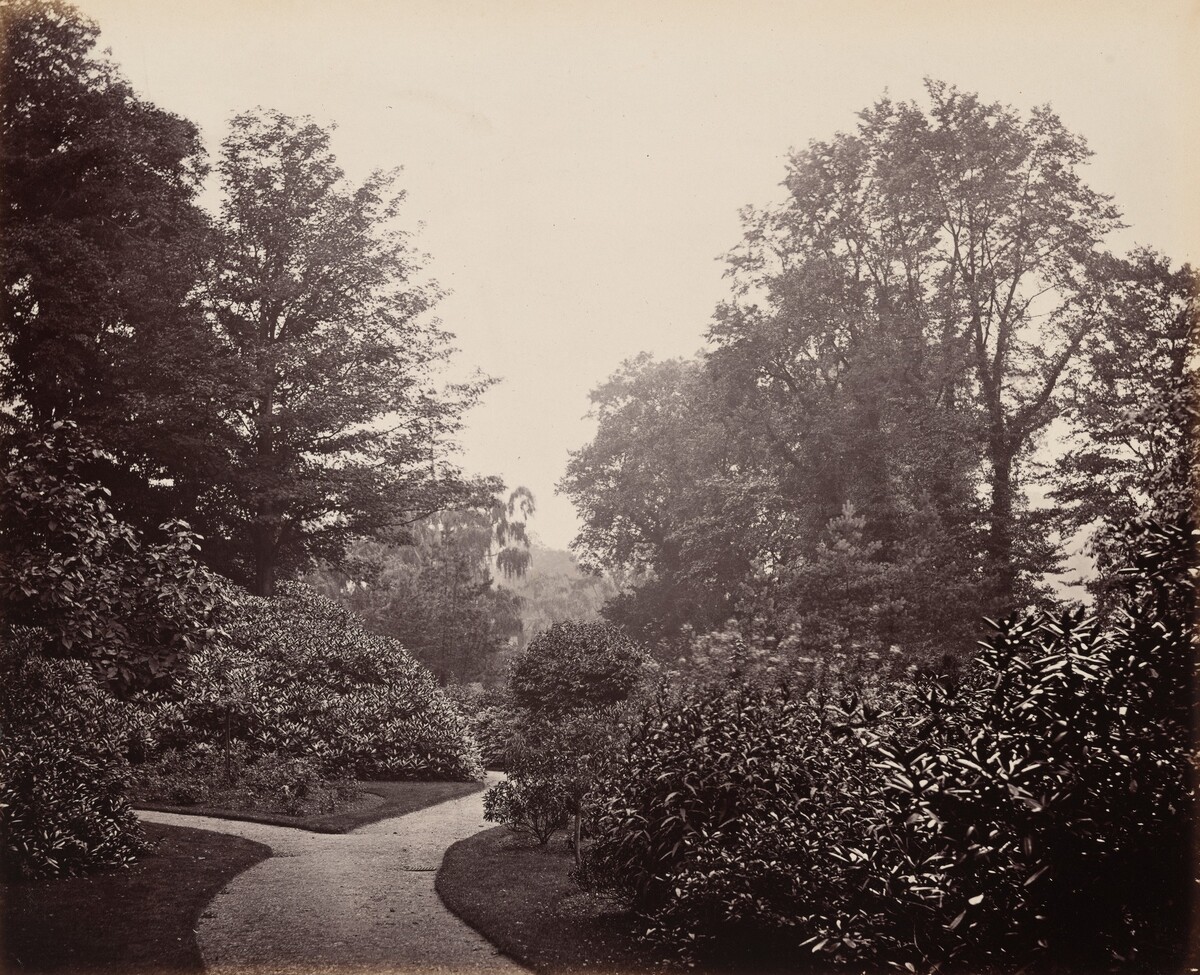 Pathway in Alexandra Park