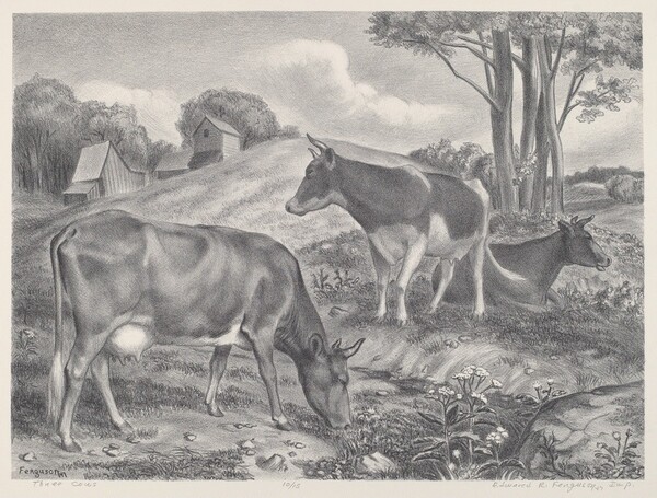 Three Cows