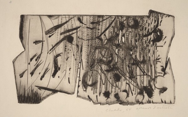 Experimental Plate #2