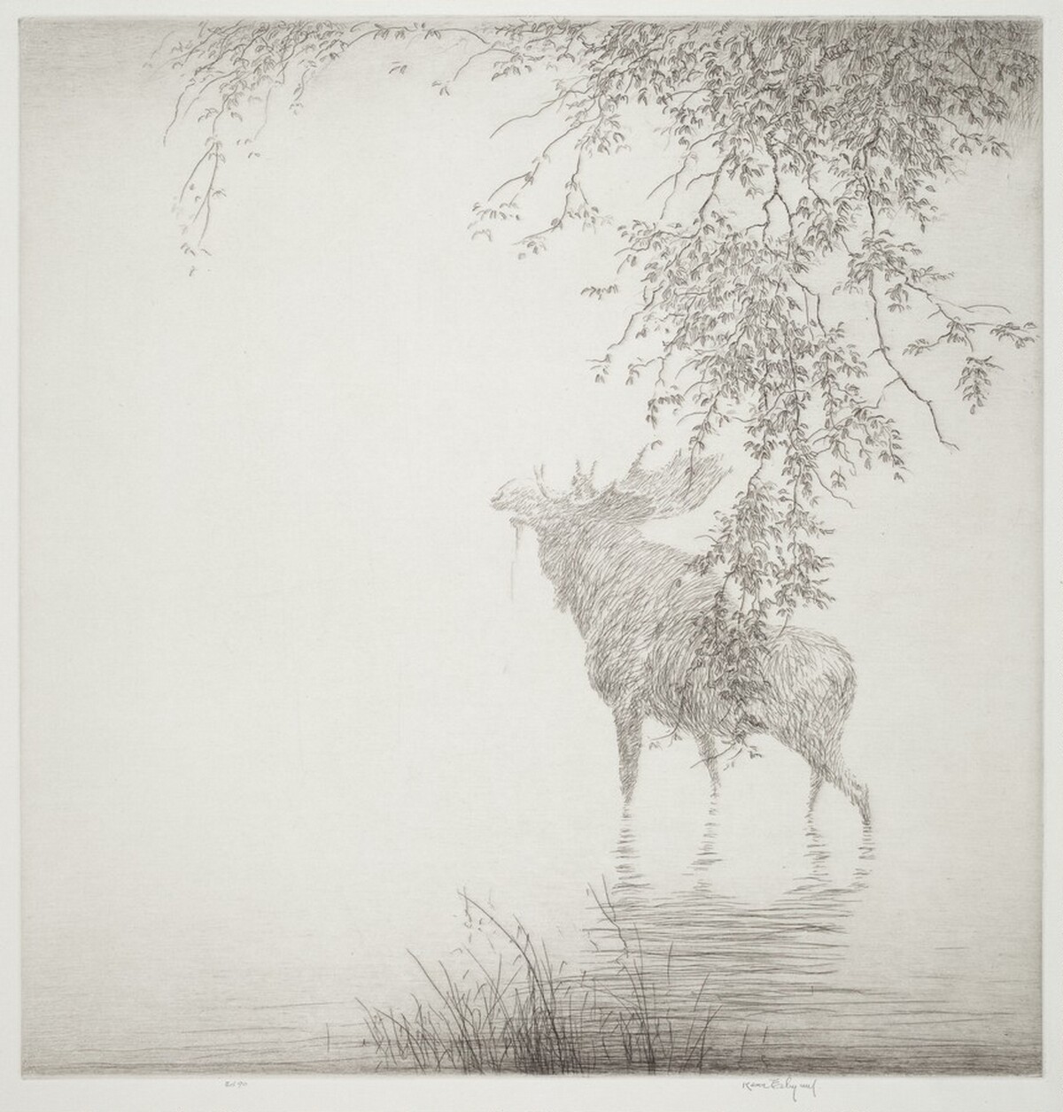 Shadows on the Agawa, No. 2
