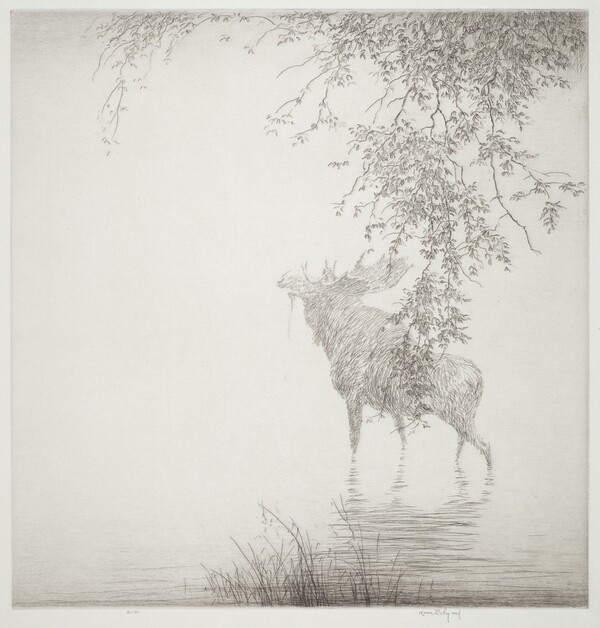 Shadows on the Agawa, No. 2