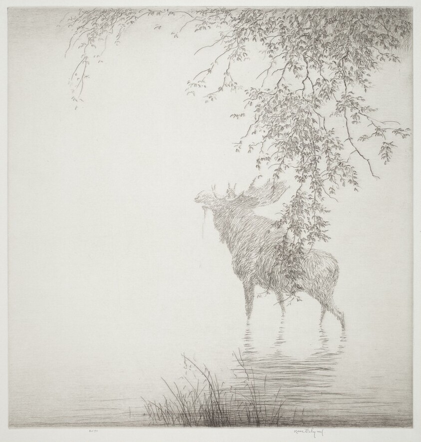 Shadows on the Agawa, No. 2