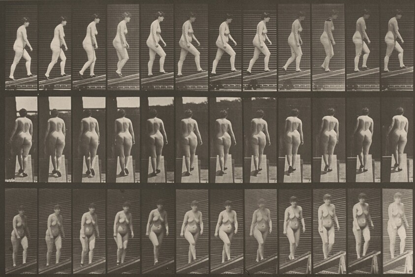 Plate Number 86. Ascending an incline