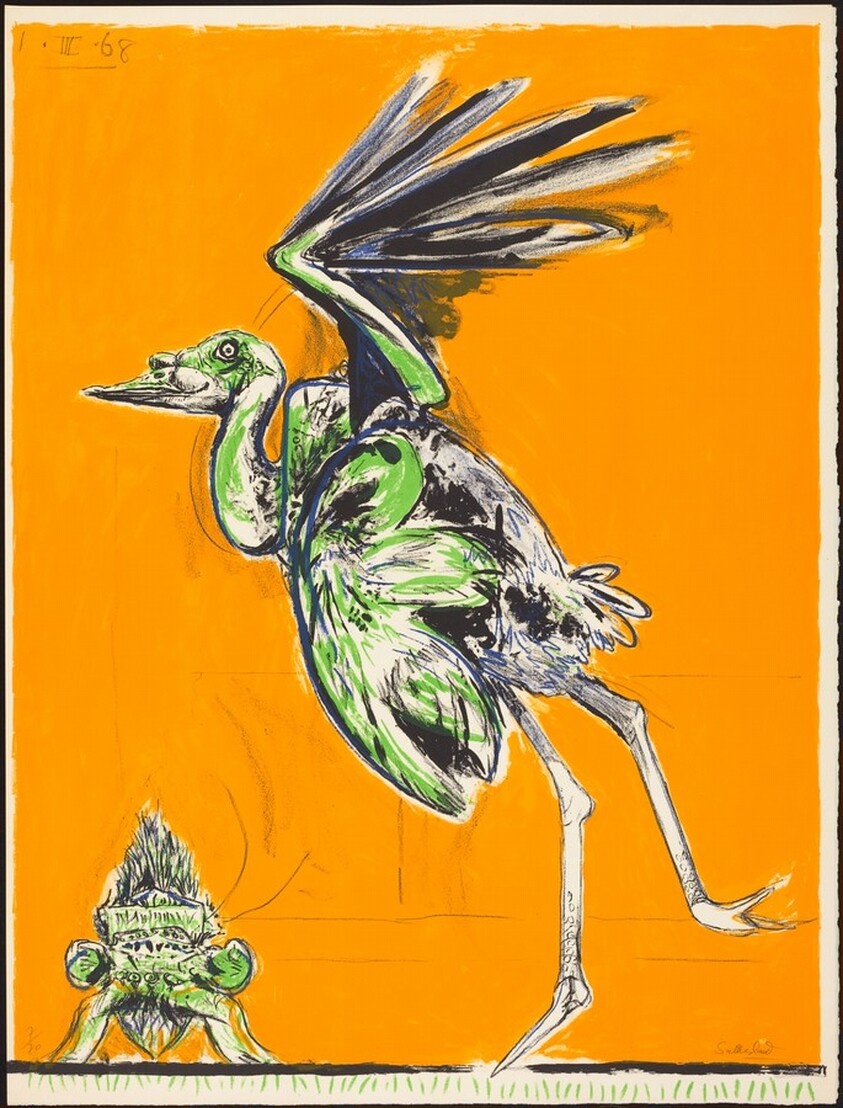 Bird About to Take Flight