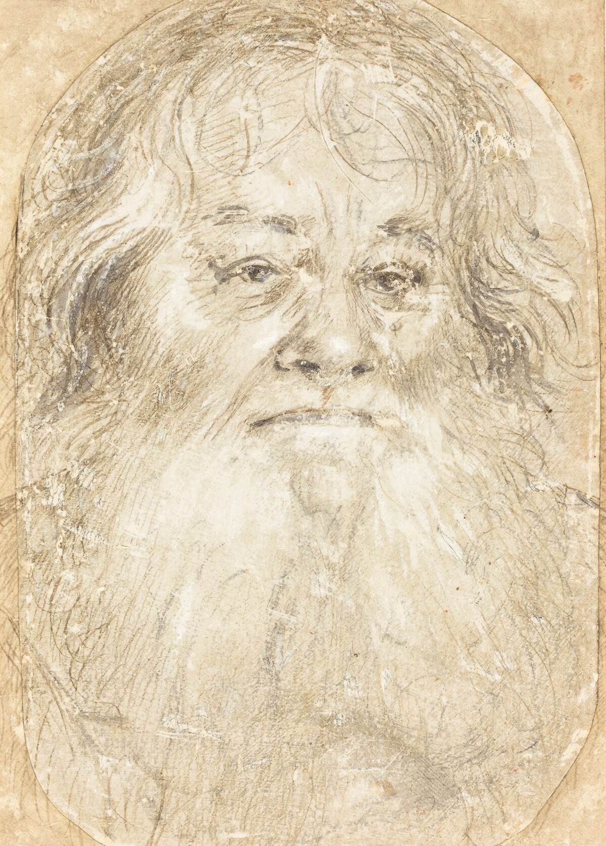 Study of a Bearded Man [verso]