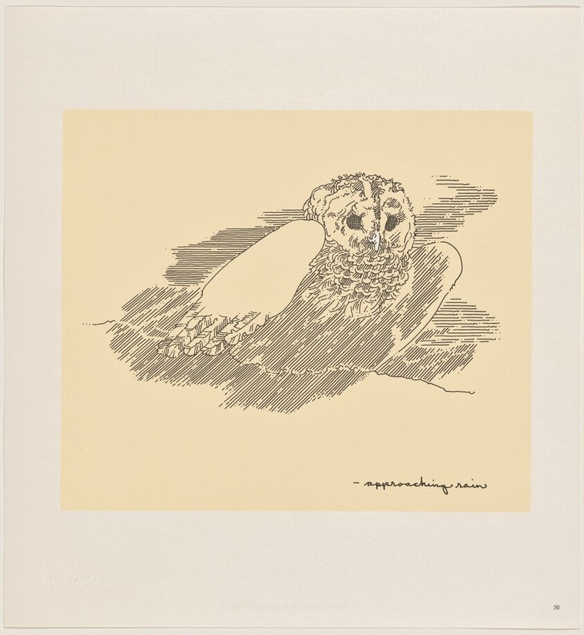 Owl Feathers: page 50