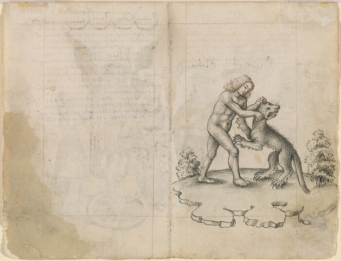 This is a drawing of a human figure grappling with a canine creature. The drawing depicts a nude figure, with flowing hair, engaged in a struggle with an upright, wolf-like animal on a small piece of ground surrounded by shrub-like forms. The lines are delicate and precise, indicating careful attention to anatomical detail and proportion. The background consists of faint text showing through from the reverse side, which seems to suggest that this is a page from an old illustrated manuscript or book.