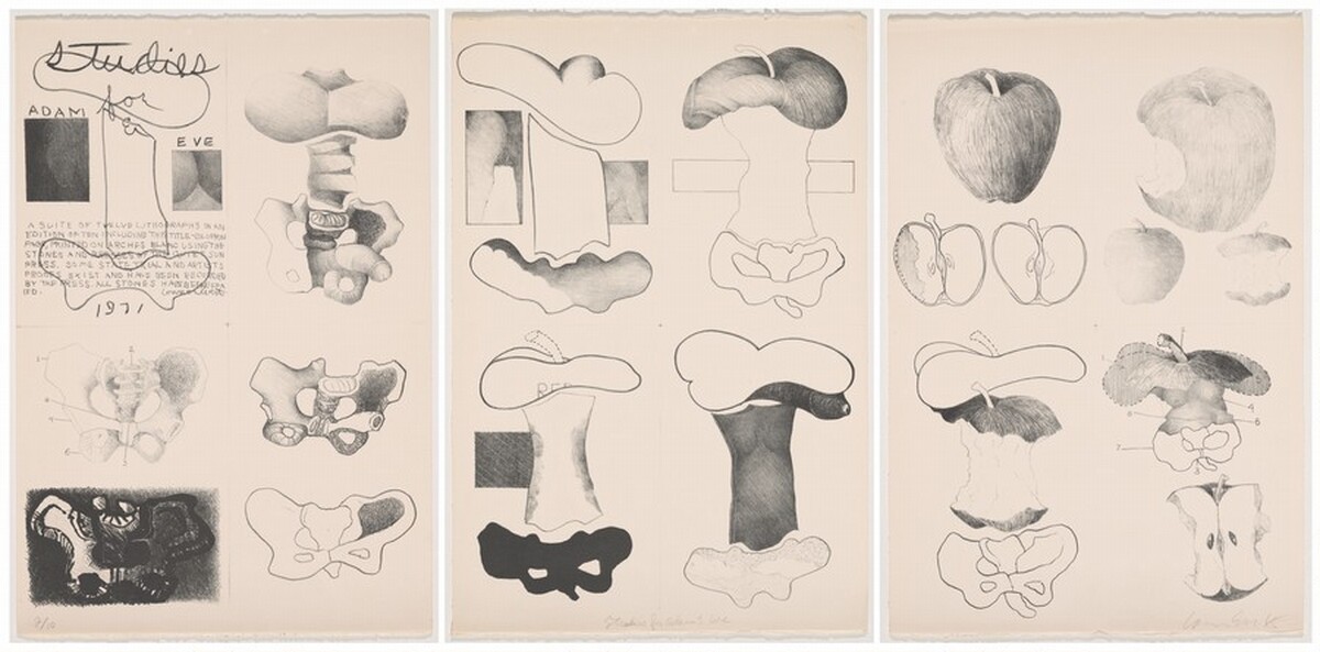 Studies for Adam & Eve