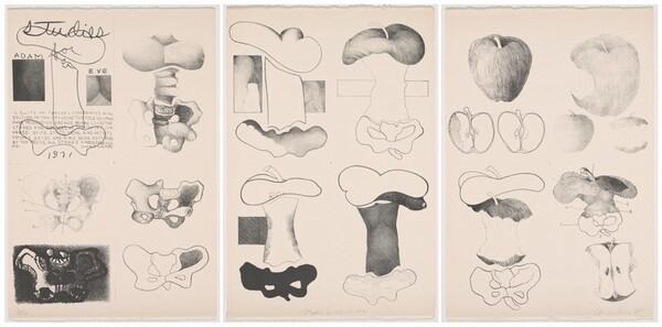 Studies for Adam & Eve