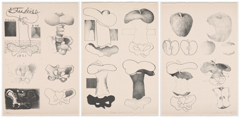 Studies for Adam & Eve