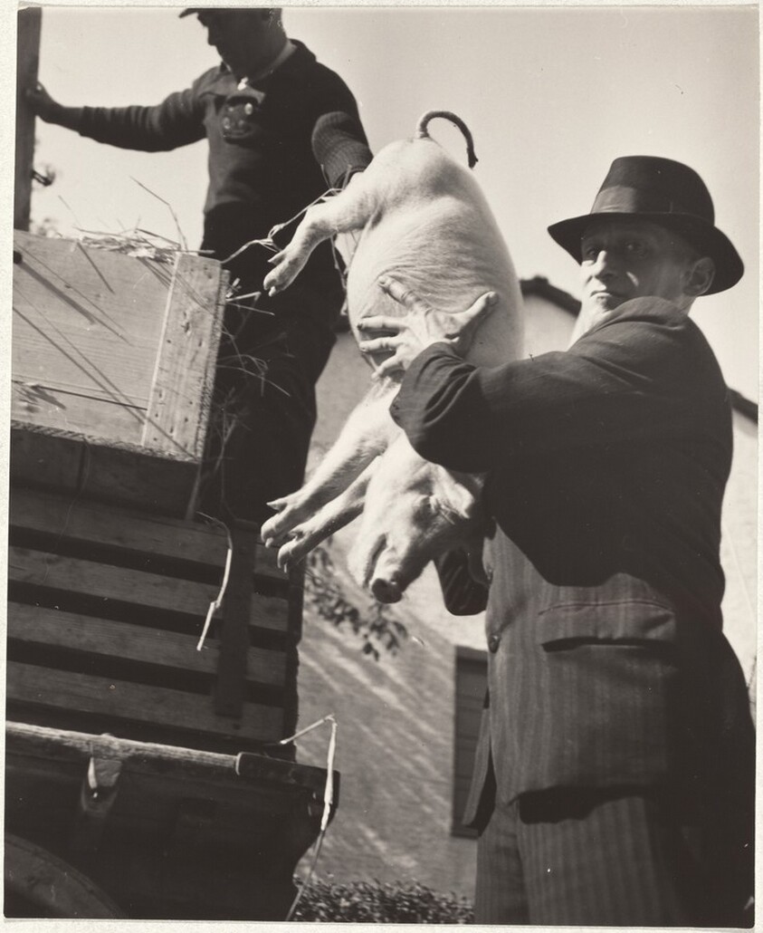 Farmer at market outside Zurich--40 Fotos