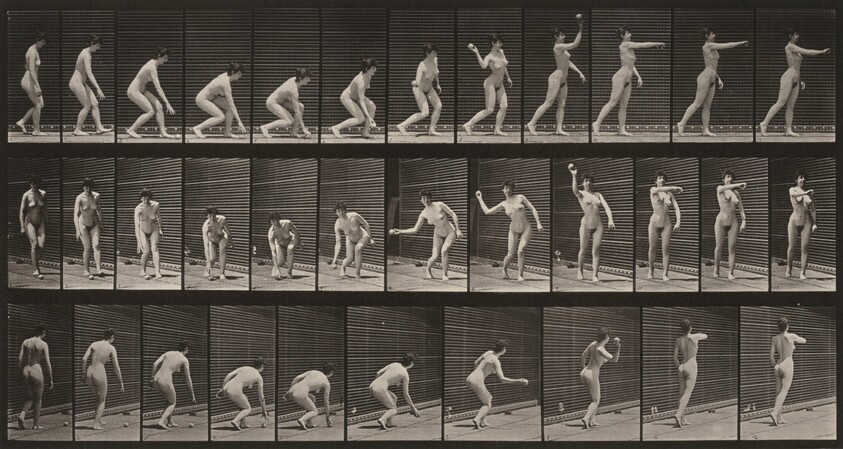 Plate Number 303. Picking up a ball and throwing it