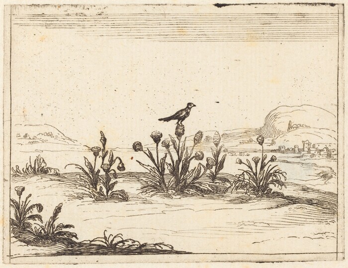 The image features a low angle view showing plants in the foreground and a landscape with hills and small built structures in the background. The artwork is detailed with etching lines, depicting a small bird on a stem. The color scheme is monochromatic, using black, tan, and off-white tones to highlight the etched lines and shapes.