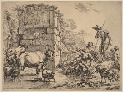 Cow Drinking