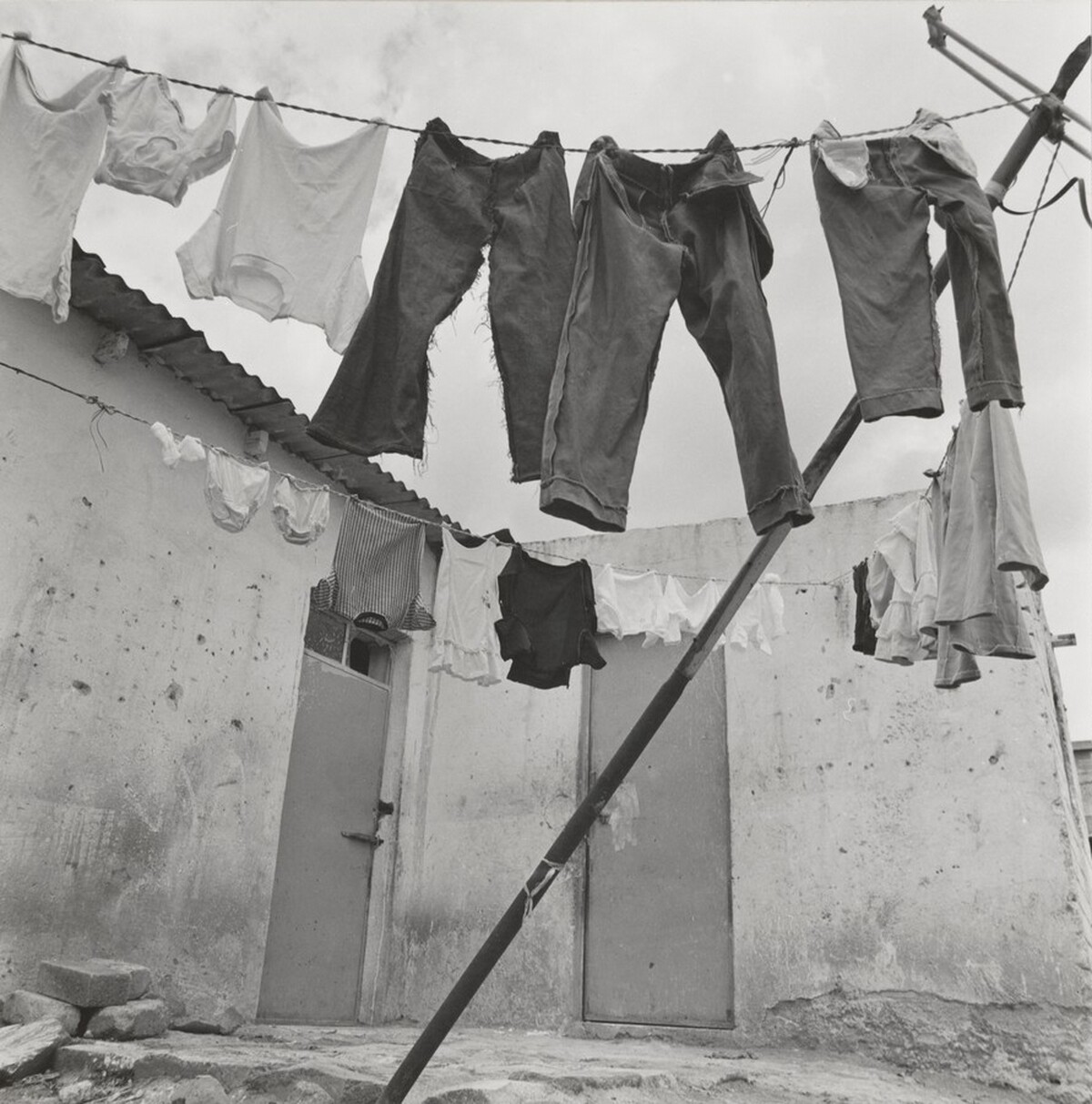 La Familia Entera (The Whole Family)