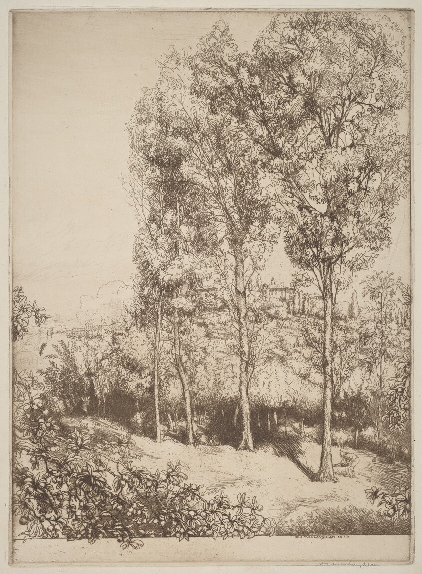 Sunlight and Shadows, No. 3