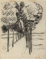 The Shady Lane, Pierre Bonnard, 1930