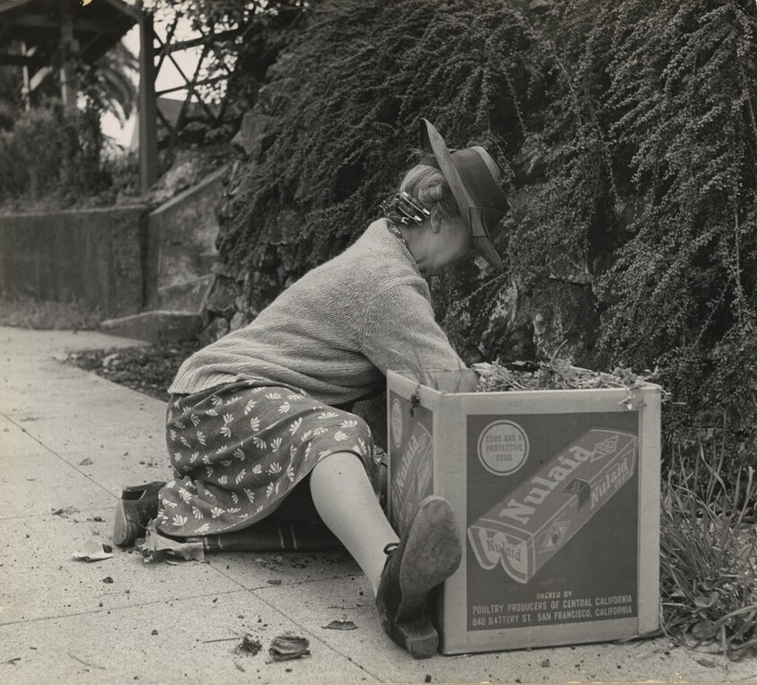 Springtime in Berkeley, California