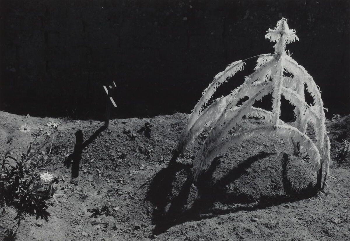 Tumba reciente (Recent grave)