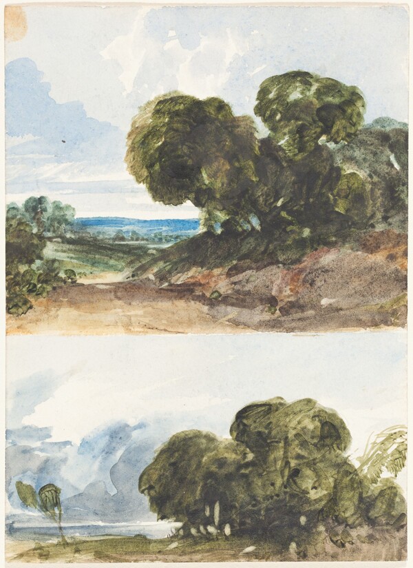 Two Sketches of Trees