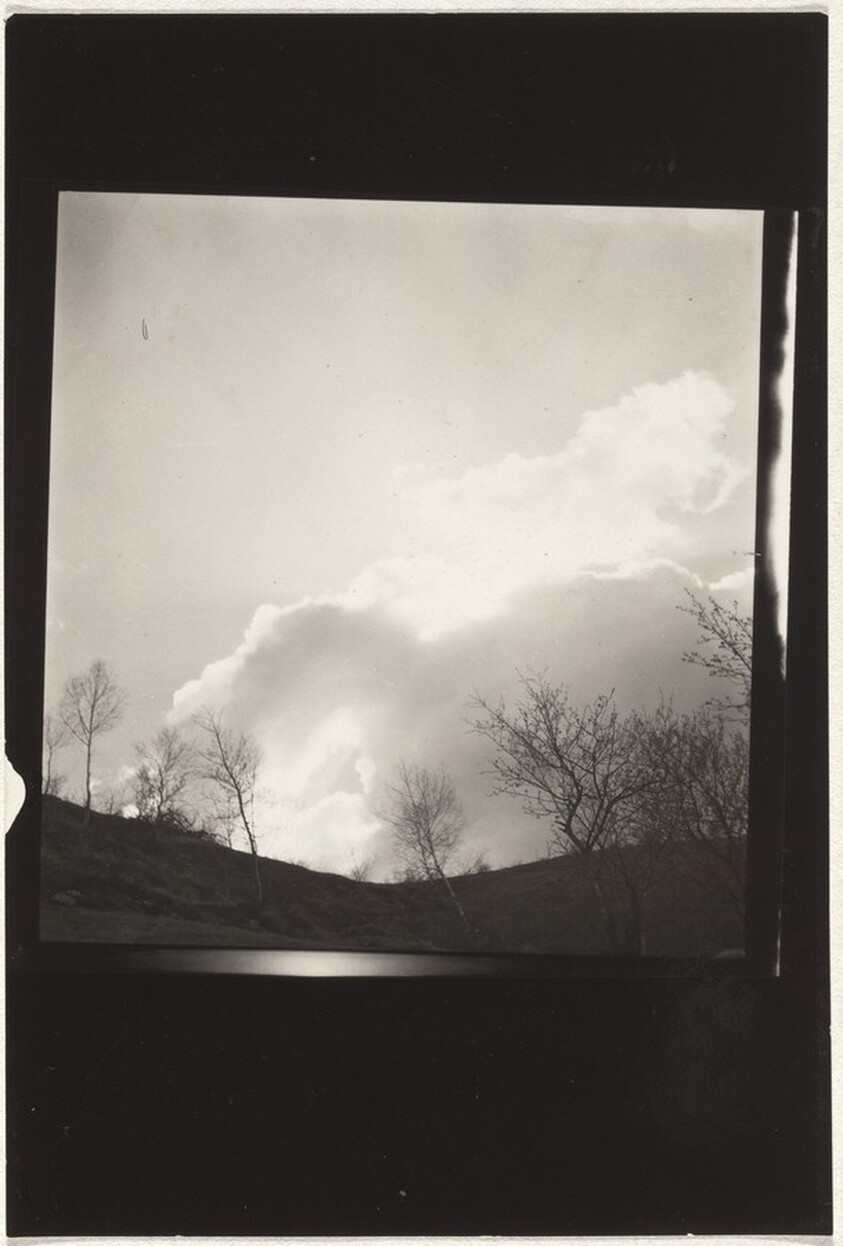 Trees against sky--Landscape