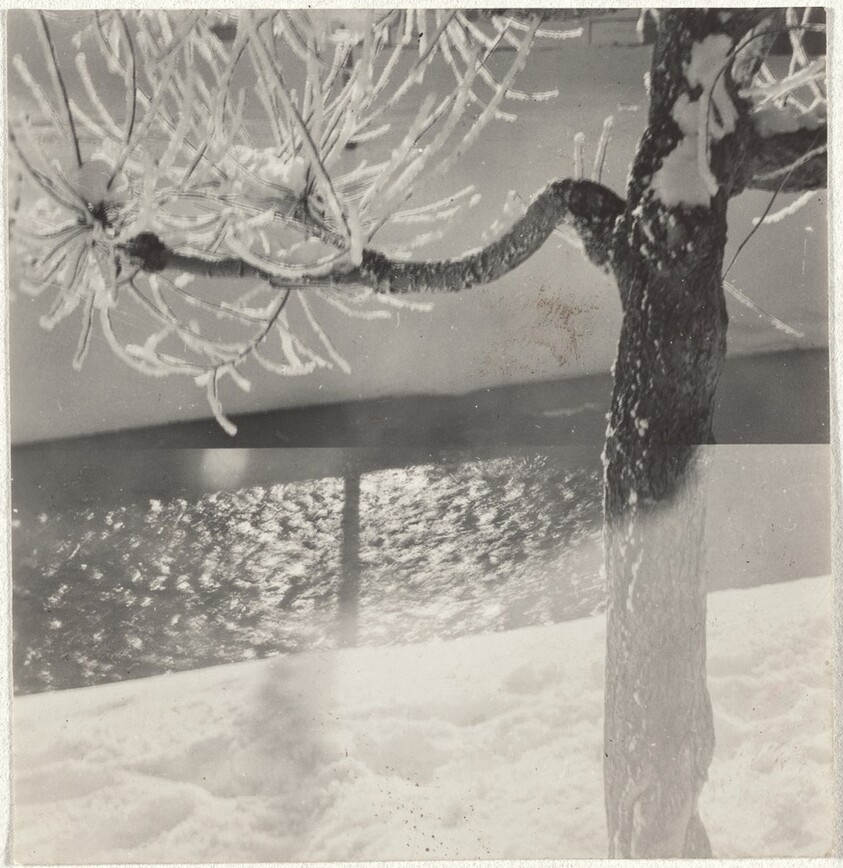 Snow-covered tree--Landscape