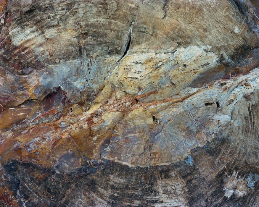 This photograph shows a close-up of an object with a wood grain pattern. The pattern is an arrangement of curved and circular lines with various concentric patterns. The colors include brown, beige, gray, reddish-brown, and pale blue. The surface has a layered texture with visible cracks and color variations.