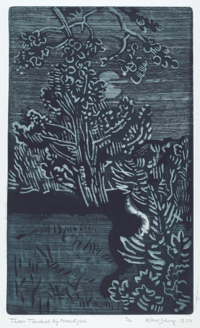 Trees Touched by Moonlight