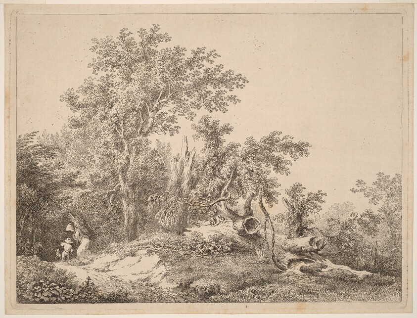Landscape with Broken Tree