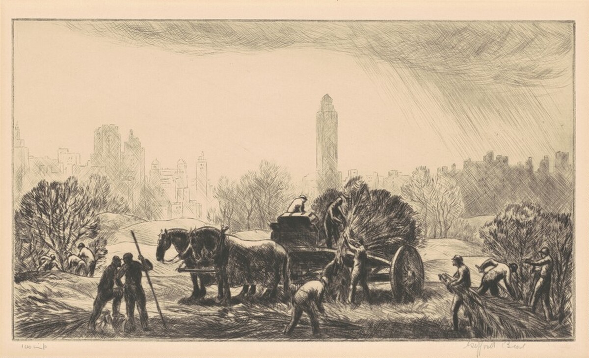 Gathering Brush, Central Park