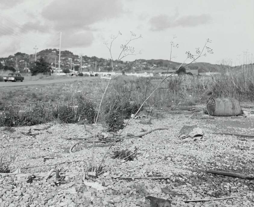 San Quentin Point, no. 40G