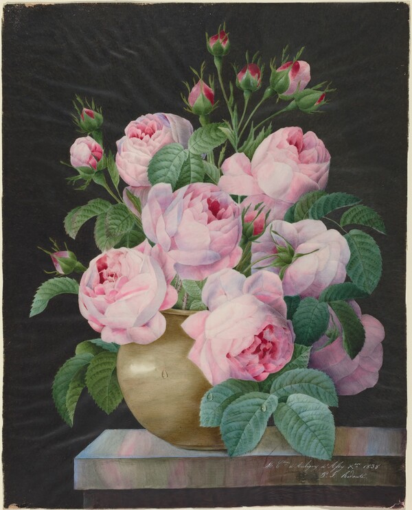 Pink Roses in a Vase
