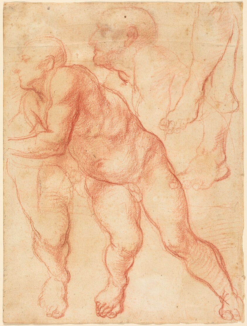 Studies of a Male Nude