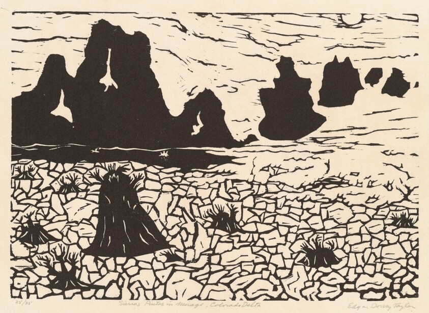 Sierras Pintas in Mirage, Colorado Delta