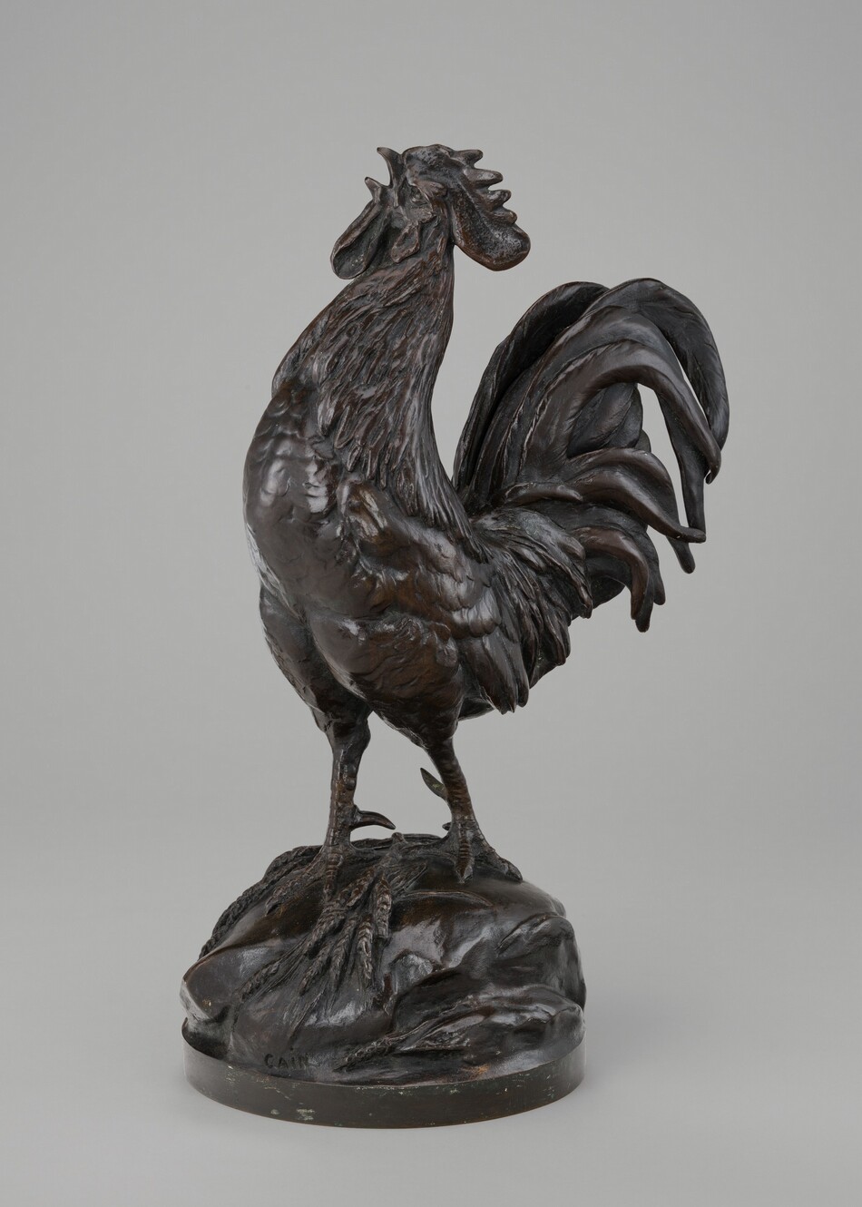 The sculpture depicts a rooster with its head raised and beak open, as if crowing. It appears to be made of dark bronze, giving it a rich brown color with a shiny finish. The rooster is realistically detailed, showing feather patterns, muscular structure, comb, and wattle. It stands on a base with simulated ground and vegetation. The talons are planted firmly, suggesting strength and stability.