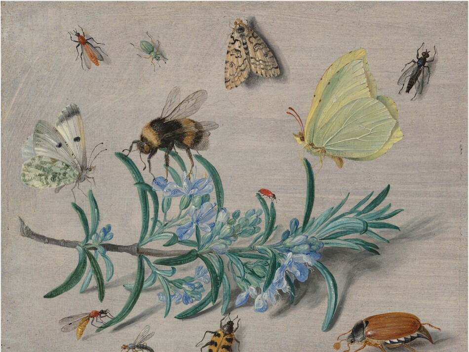 Several insects such as a bees, butterflies, moths, ladybugs, beetles, and more, crawling on and around a fig branch.