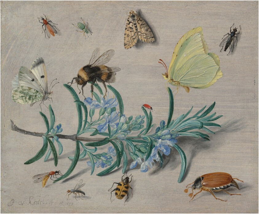 Insects and a Sprig of Rosemary