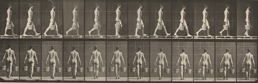 Plate Number 29. Walking and carrying a bucket of water in each hand