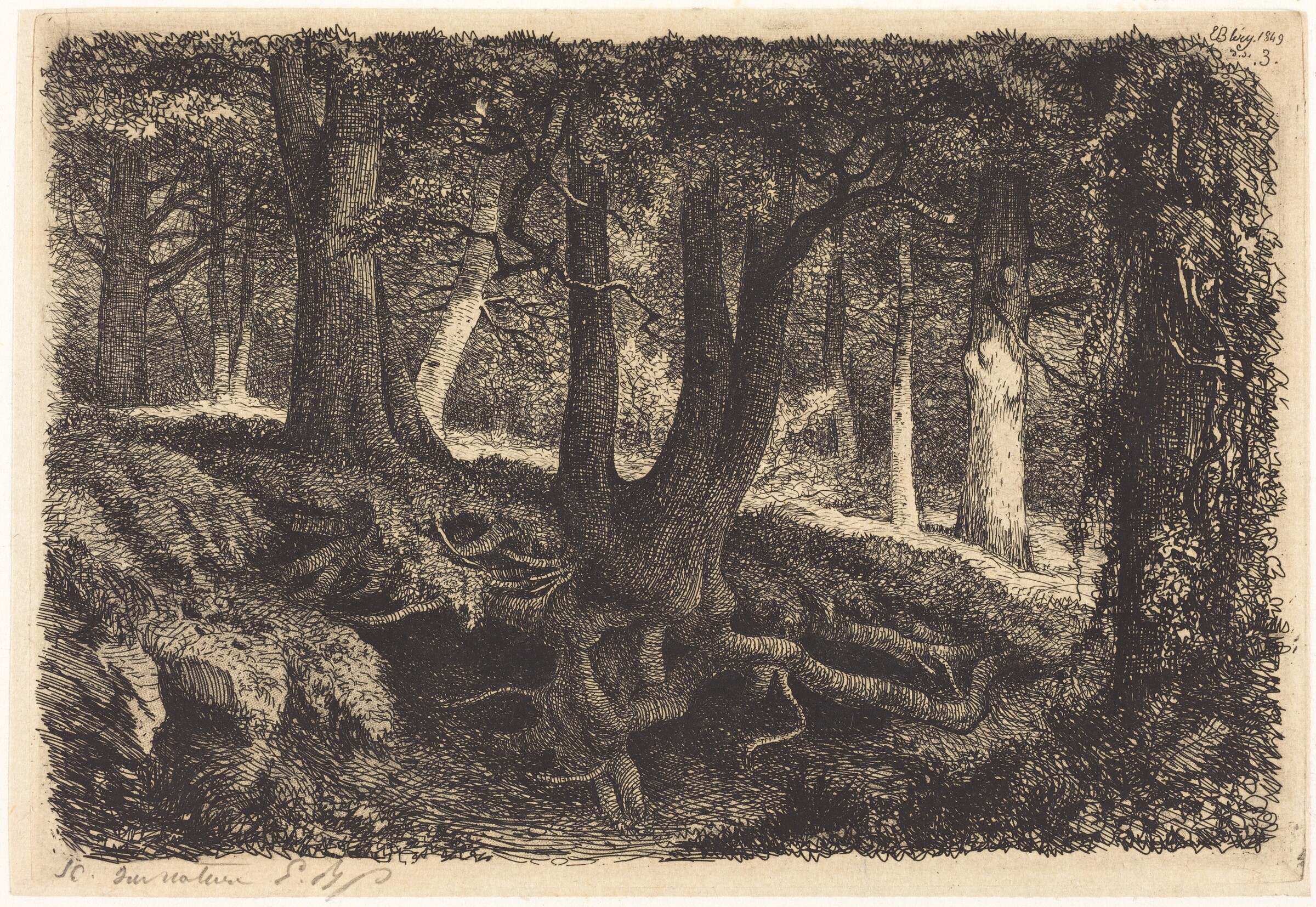 L'arbre aux racines (Tree with Roots), Eugène Bléry, published 1849