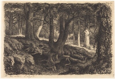 L'arbre aux racines (Tree with Roots)