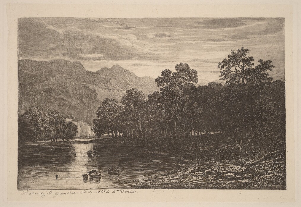 The image displays a landscape with a high horizon, showcasing distant mountains under a cloudy sky. A waterfall is seen to the left, with a river flowing in the foreground, reflecting rocks in the water. A dense forest of tall trees is depicted in dark, detailed strokes. The brushstrokes capture textures of foliage and rocks, creating depth. The color palette is monochromatic, using shades of gray and sepia.