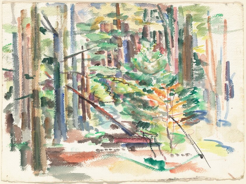 Untitled (forest interior)