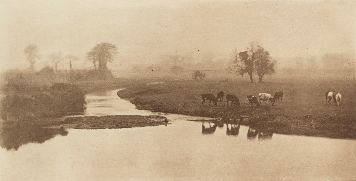 The image shows a tranquil rural landscape from a slightly elevated point of view. The horizon is obscured by dense mist, and silhouetted bare trees are faintly visible against the hazy sky. A gentle river winds through the scene, bordered by grassy areas where cattle graze. The texture is smooth with a subtle graininess, and the palette is sepia-toned, giving the picture a warm, muted appearance. The mist diffuses the light, creating a soft atmosphere.