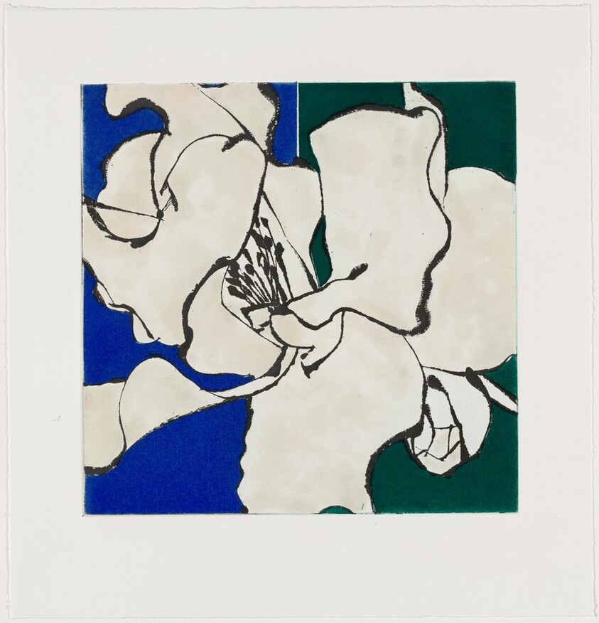 Camellia Pink [working proof 6]