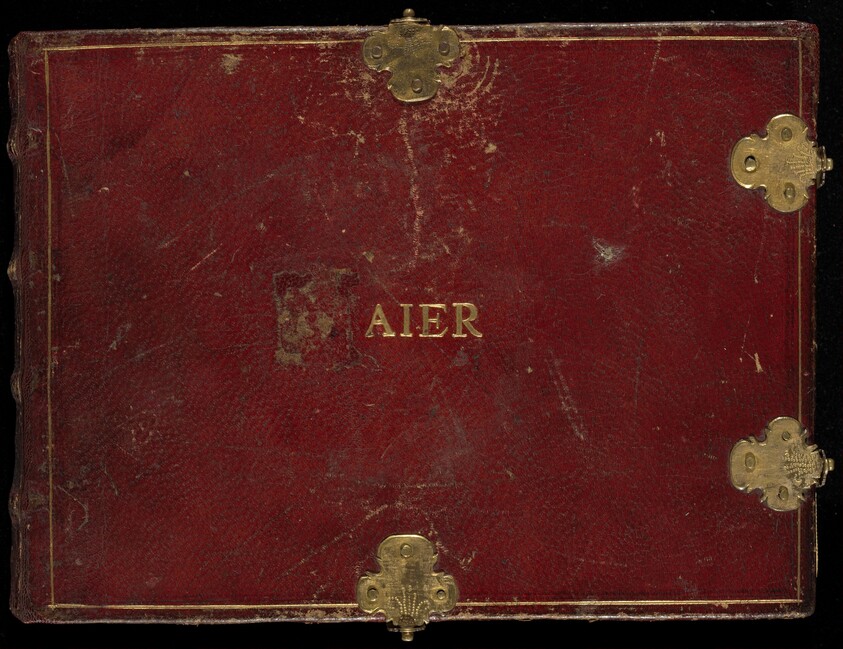 Animalia Volatilia et Amphibia (Aier)